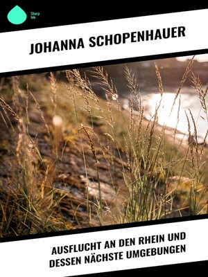 cover image of Ausflucht an den Rhein und dessen nächste Umgebungen